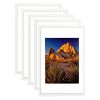 Picture Frame PVC White Frame 14.2W*3.1D*20.3H / 7.9LB Wall Mount Display , Pack of 5