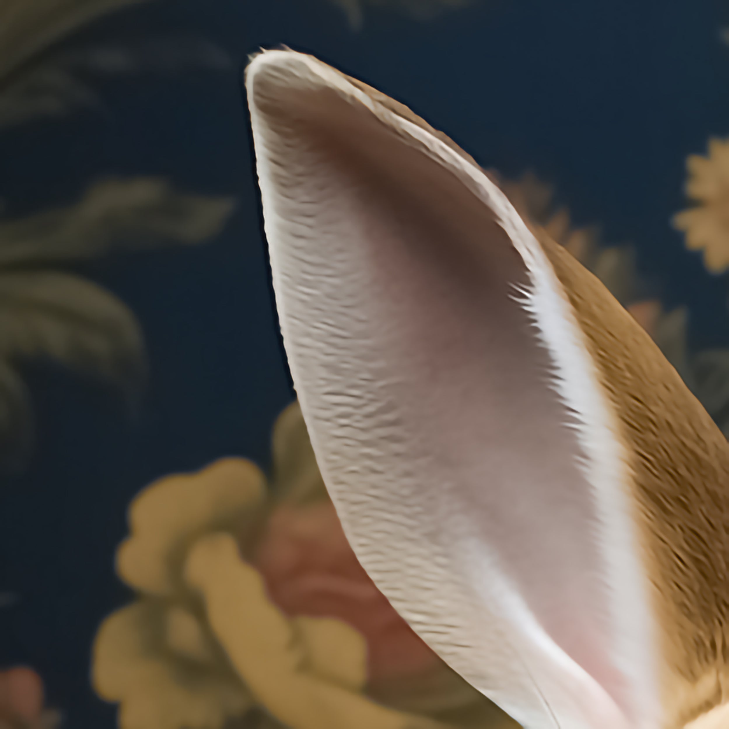 Victorian Bunny Portrait | Renaissance Animals Art Print | Rabbit with Ruffles from The Curated Goose