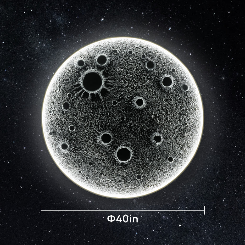 25033970