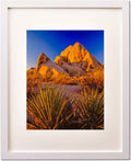 Picture Frame MDF WHITE  FRAME 20X24' Wall Mount Display