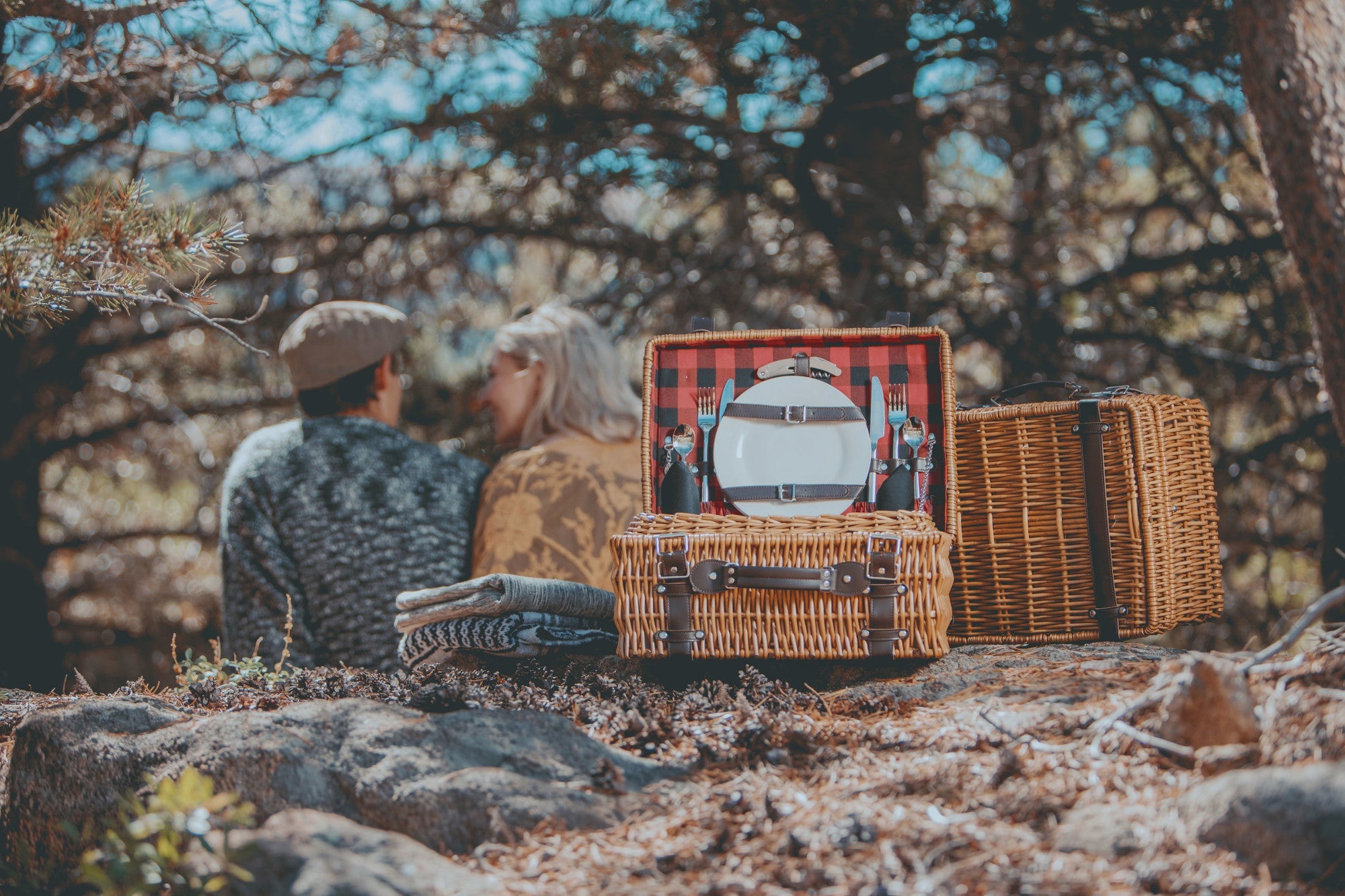 Champion Picnic Basket