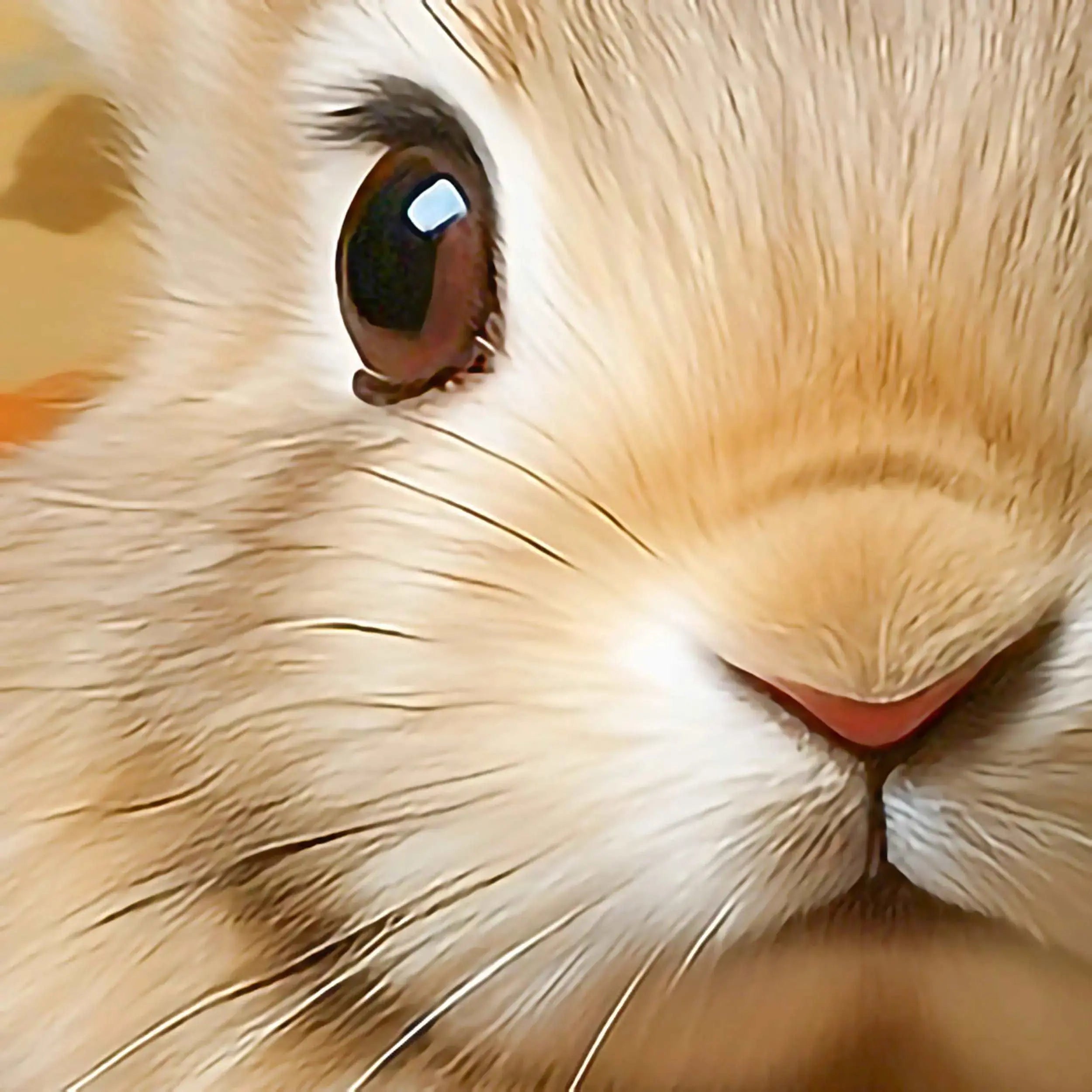 Victorian Bunny Portrait Print|| Vintage Rabbit Art Print | Animals in Costumes - Premium Poster from The Curated Goose - From $18.98! Shop now at TheCuratedGoose.com