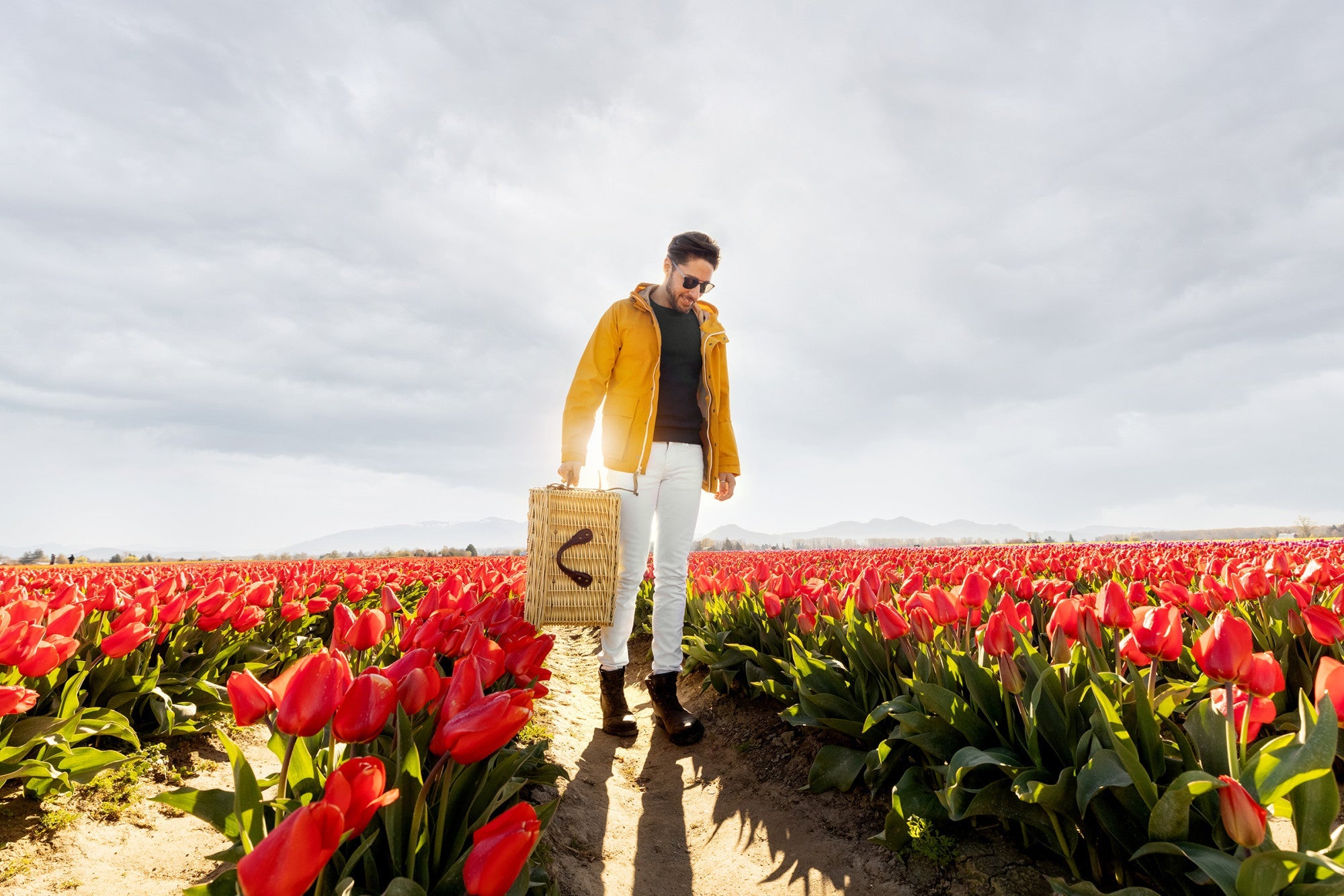 Person standing in a tulip field holding a cardboard box with a black arrow, wearing a yellow jacket and white pants.