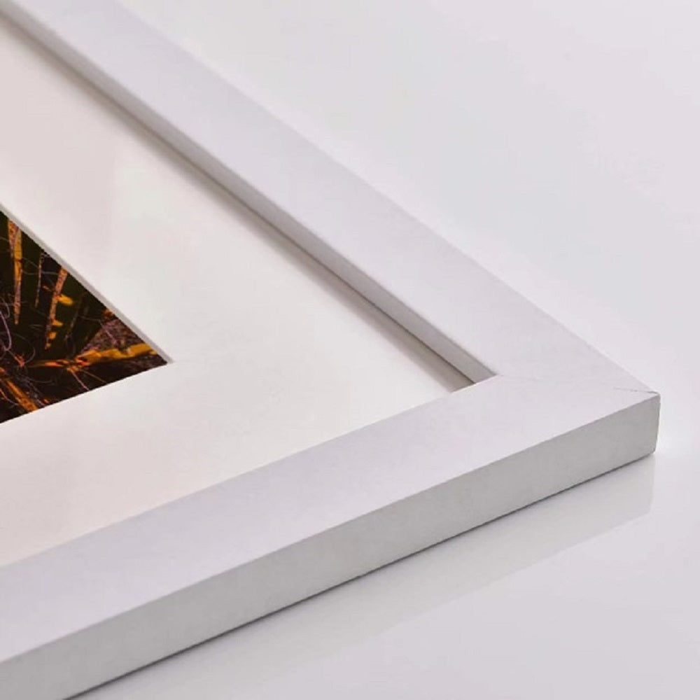 25034780