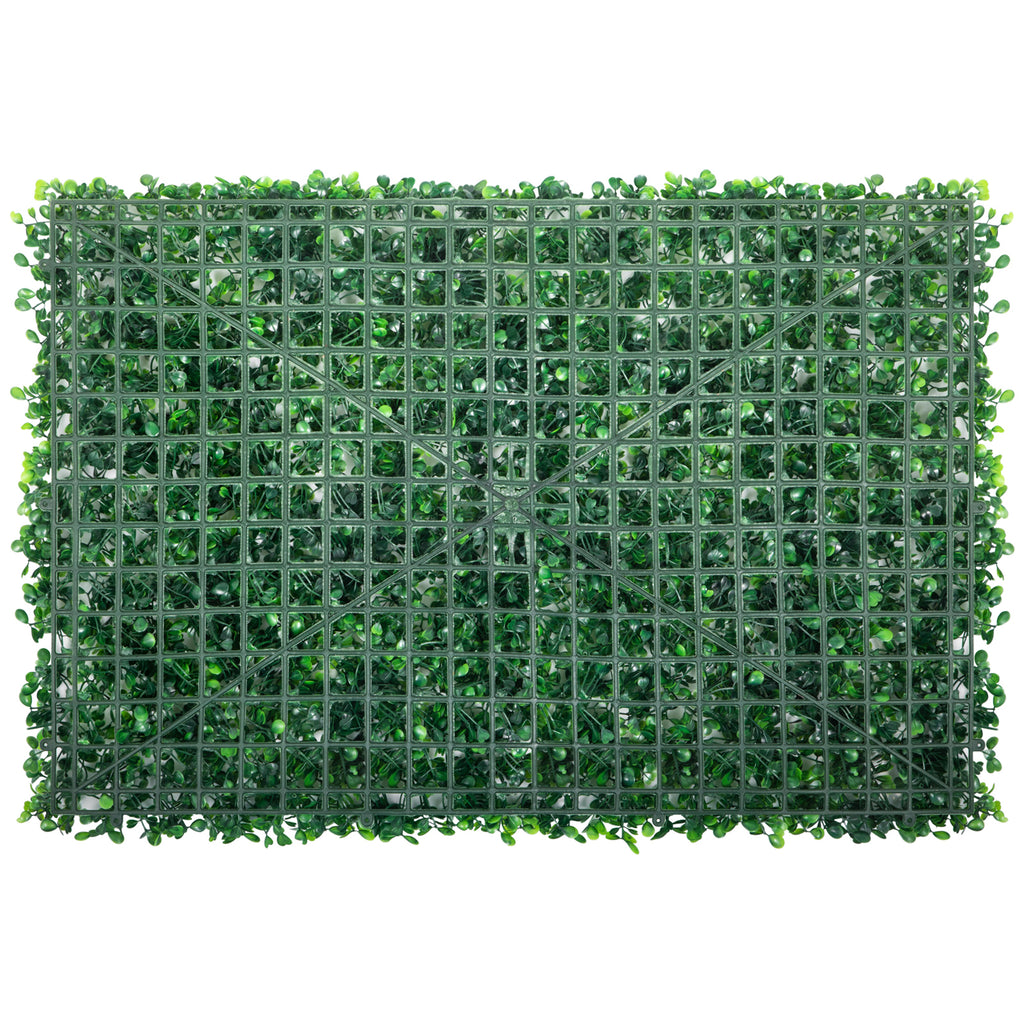 25096410