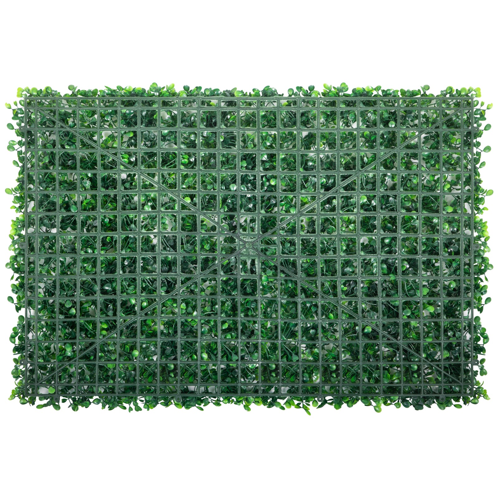 25096410