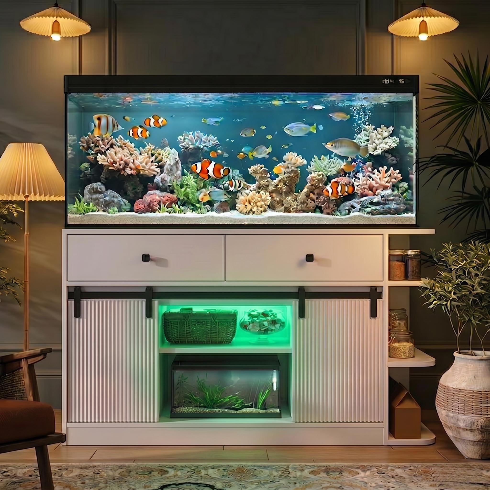 25192894