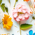 Colorful Flowers Wildflowers Floral Wrapping Paper Rolls